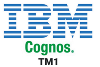 Cognos TM1 Logo
