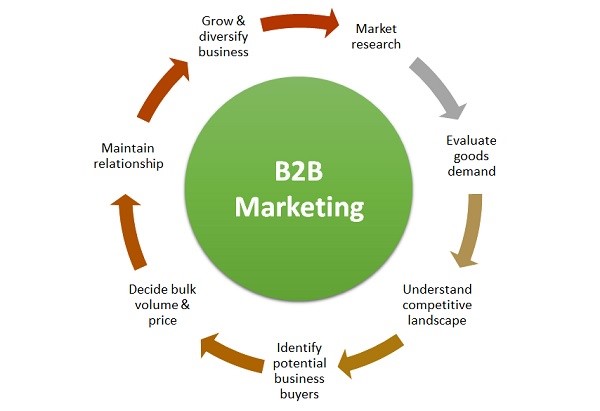 B2B Marketing Strategies steps
