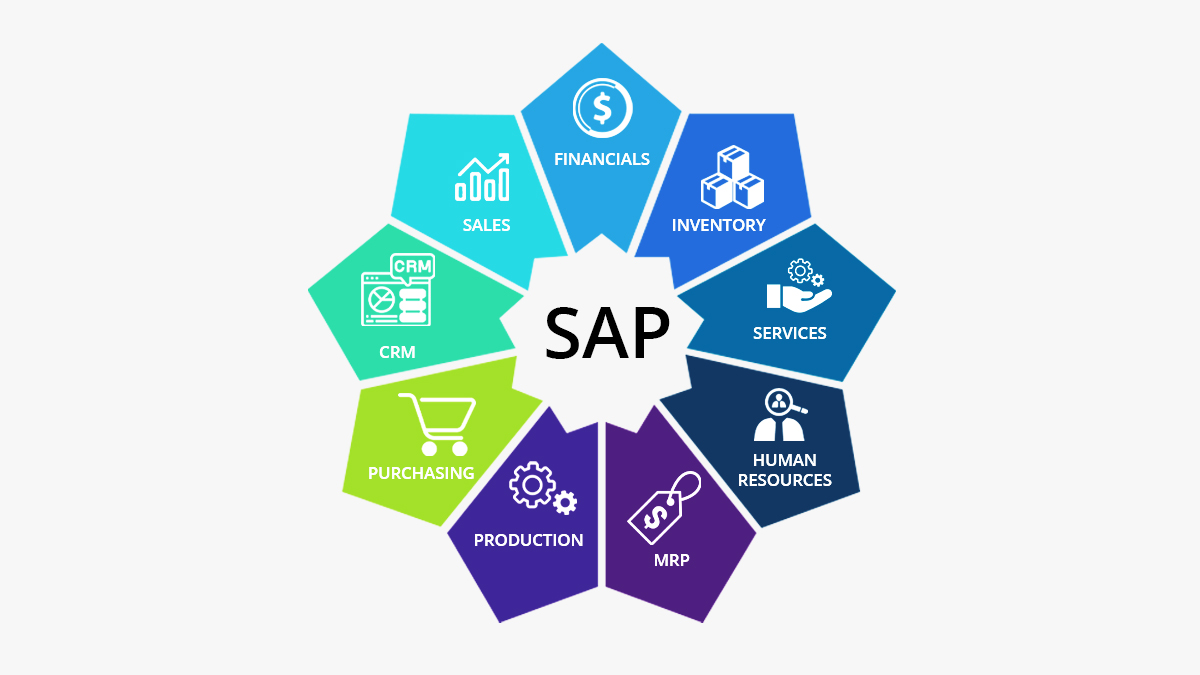 Brief Introduction to SAP ERP