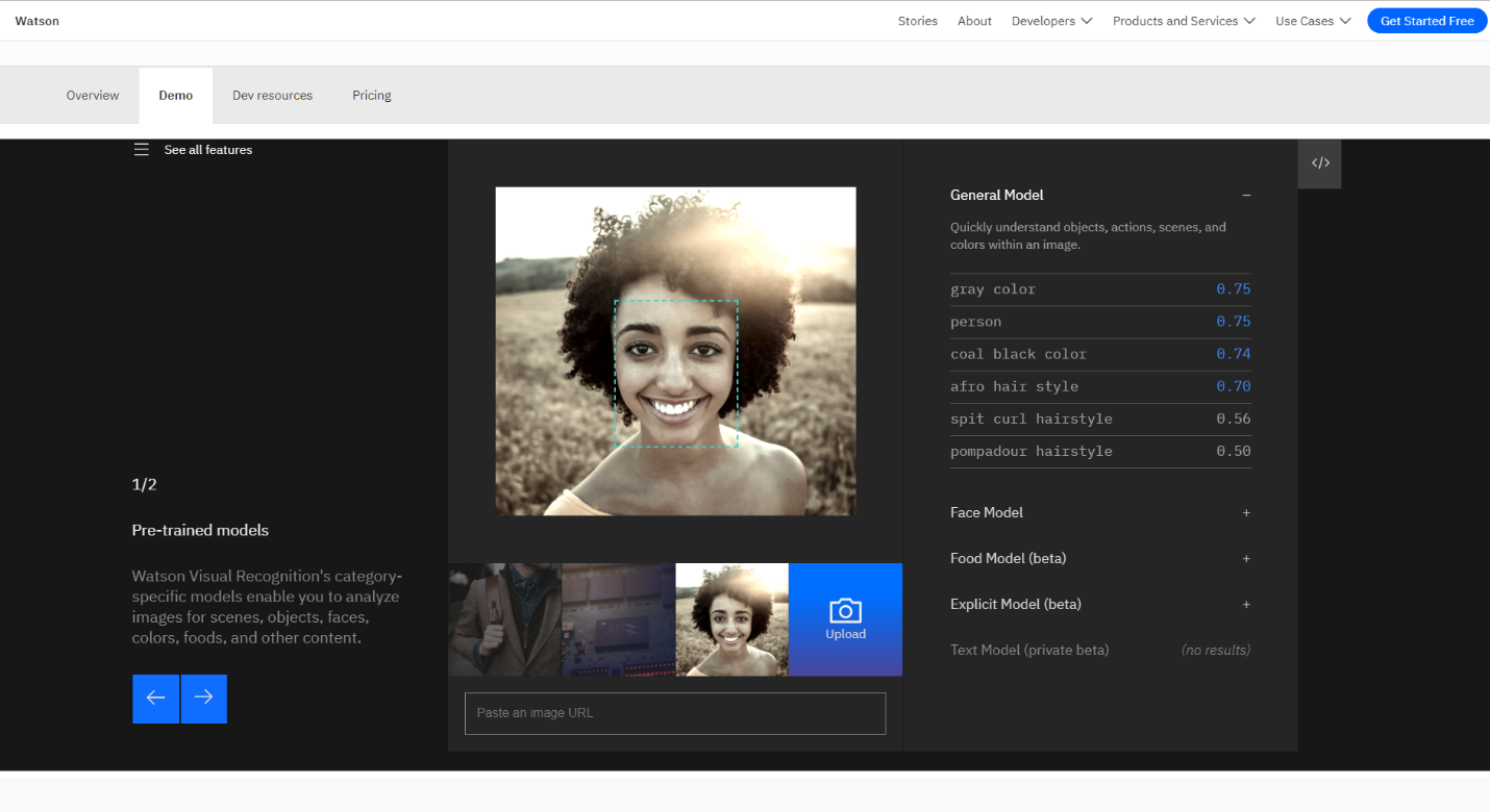 IBM Image Detect