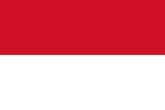 indonasea_flag