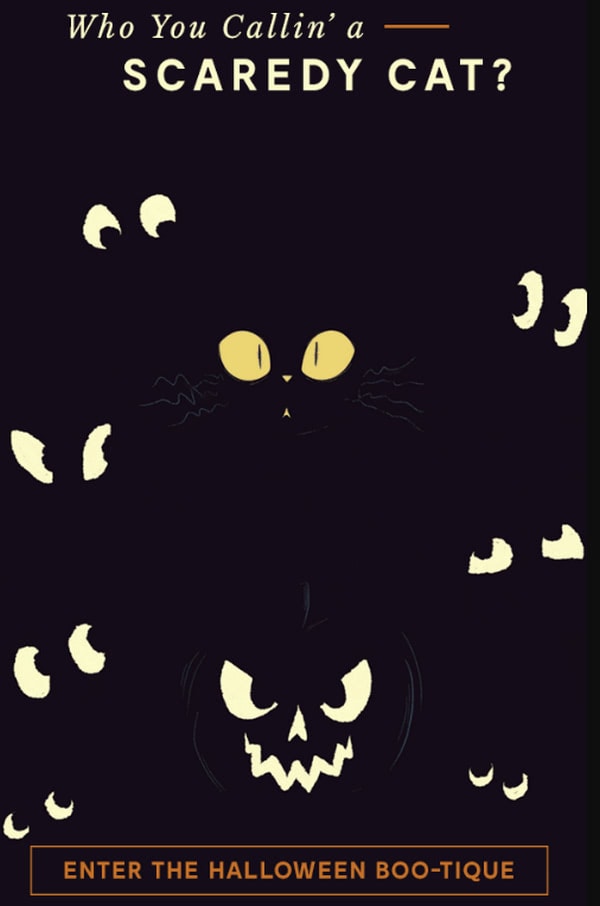 scary cat