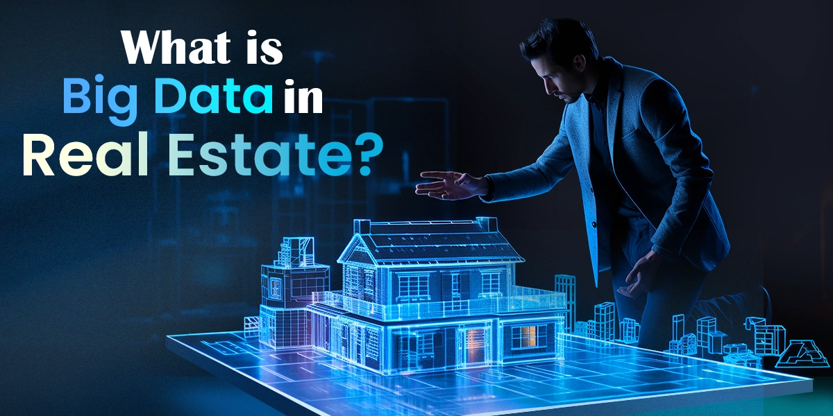 Big data in real estate